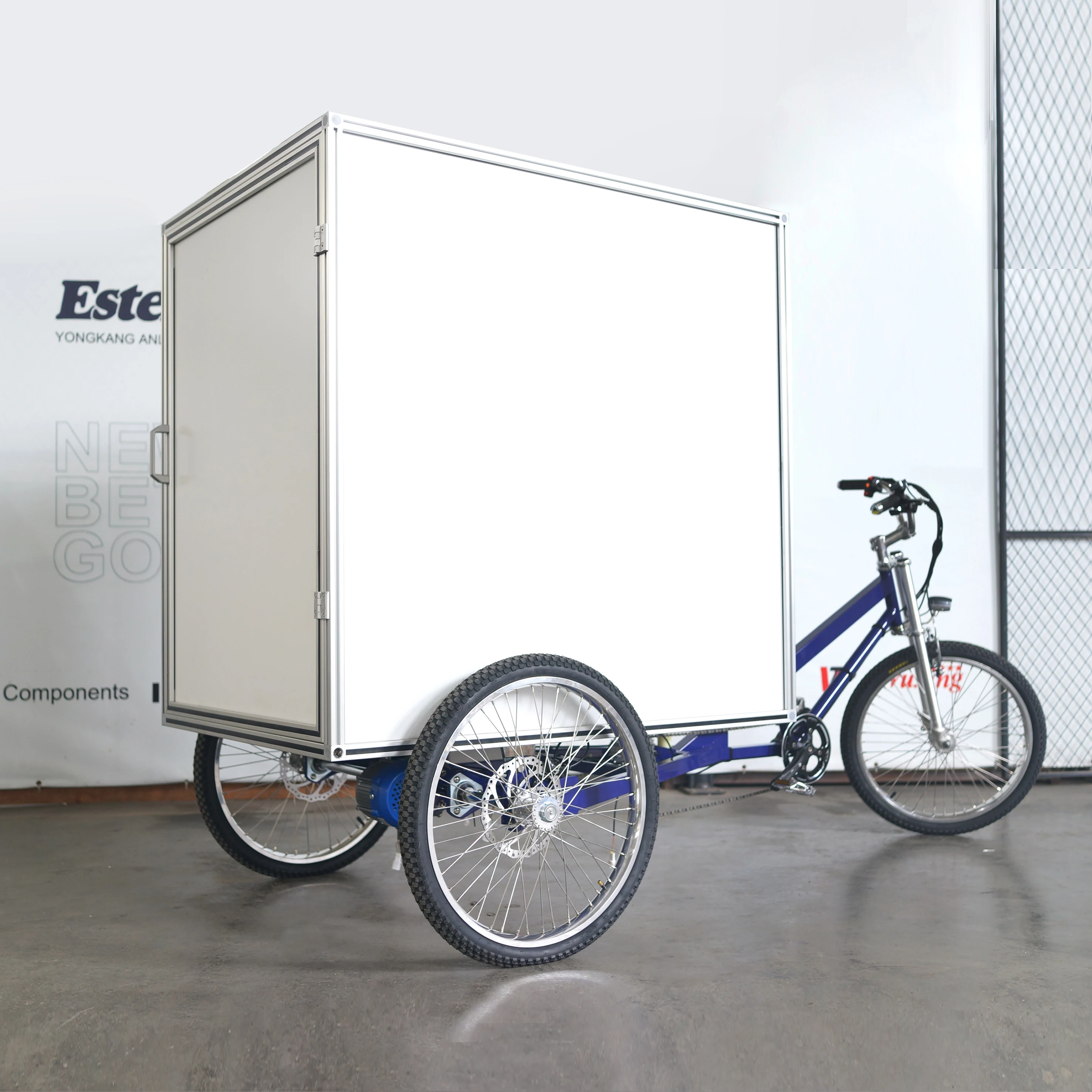 3 Wheels  Electric Cargo Trike for Adult