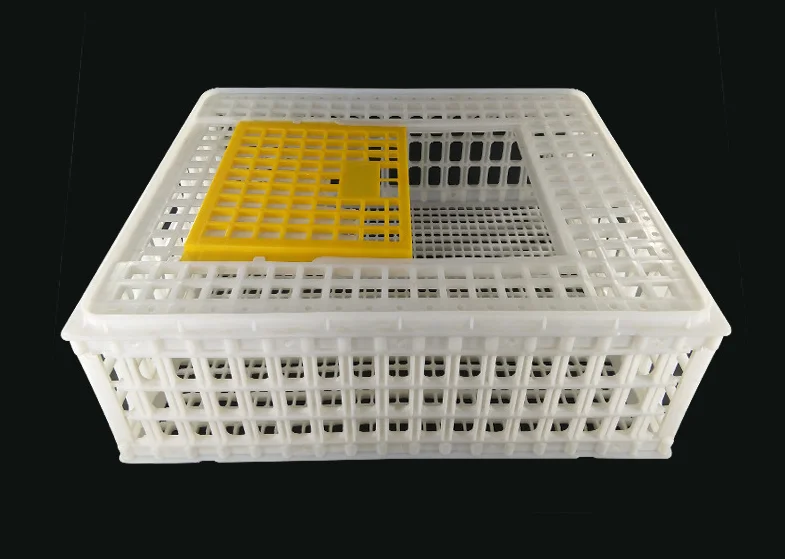 Agricultural plastic crates for chicken transportation crate , live chicken transport cage