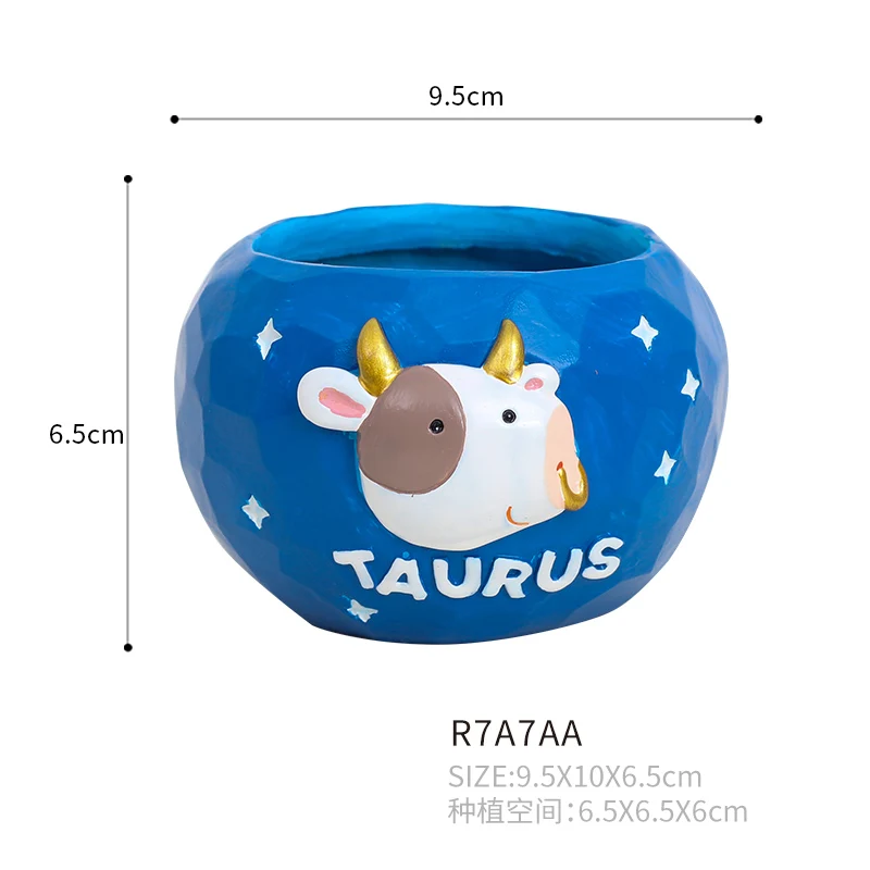 Roogo twelve constellations flower planter pots