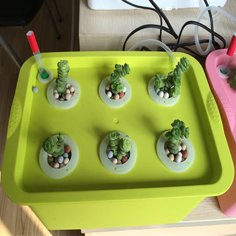 6 holes home desktop Hydroponic planting growing box