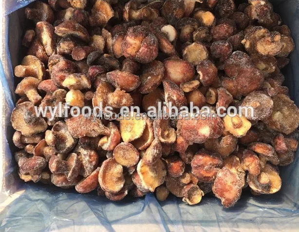 IQF Замороженных Грибов suillus granulatus