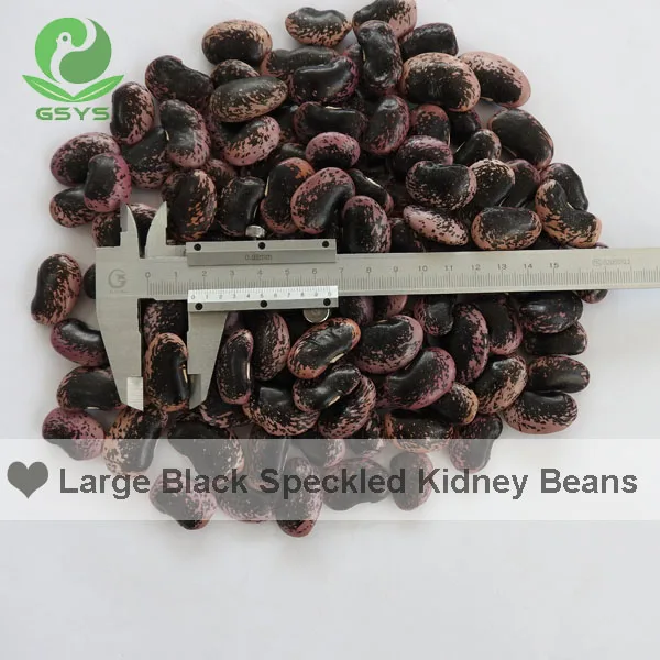 Scarlet runner bean kidney beans