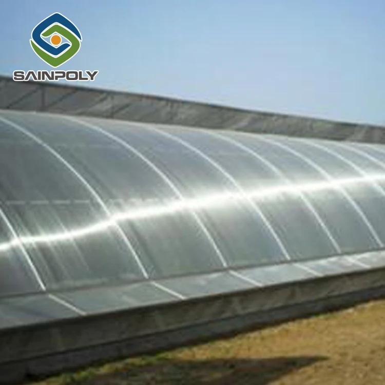 agricultural solar Hydroponic System multispan greenhouse