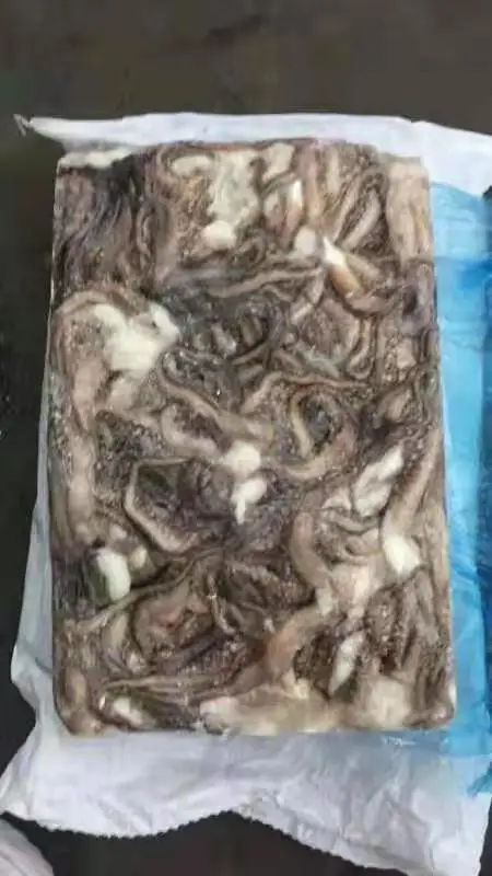 
Good Sale Seafood Fish Frozen Peru Squid 