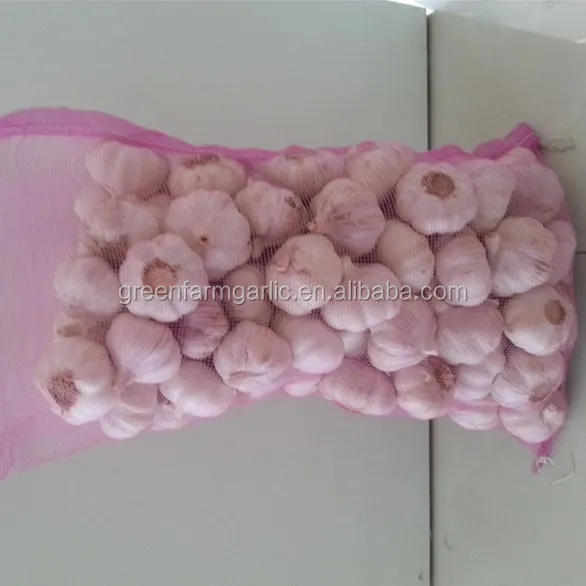 garlic seeds for sale galic