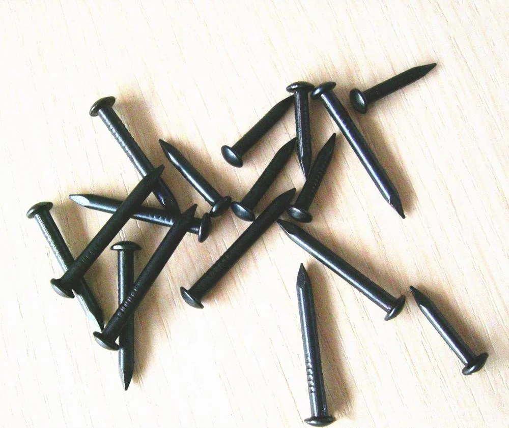Hardened black concrete nails with factory price