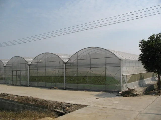 Long Service Life Double Layer Or Multilayer PC Hollow Sheet Multi Span Venlo Type PC Board Greenhouse