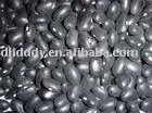 
small black kidney beans 