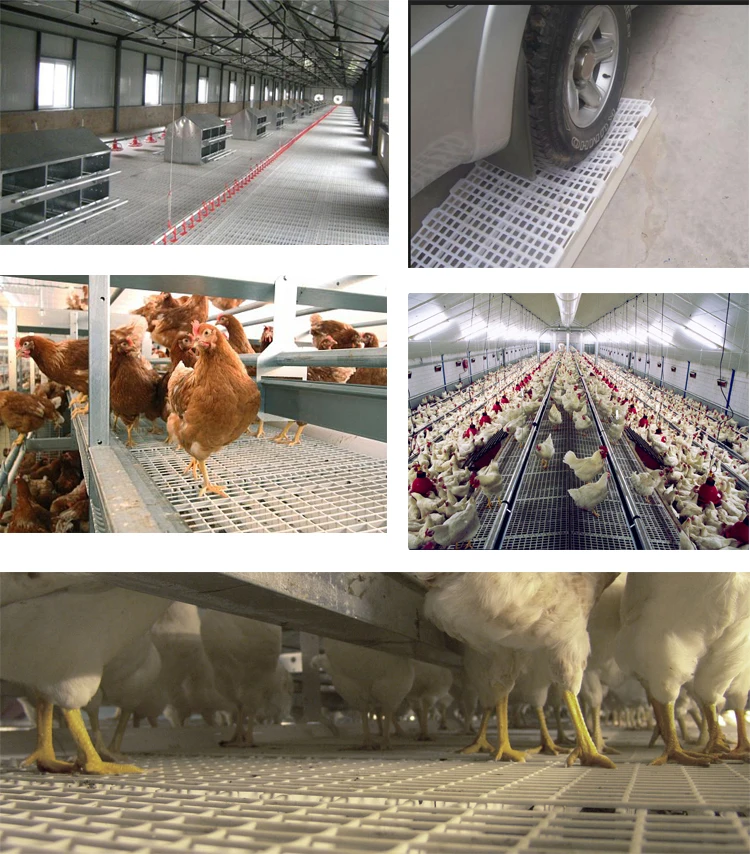 2018 high quality plastic poultry slat floor for chicken house flooring