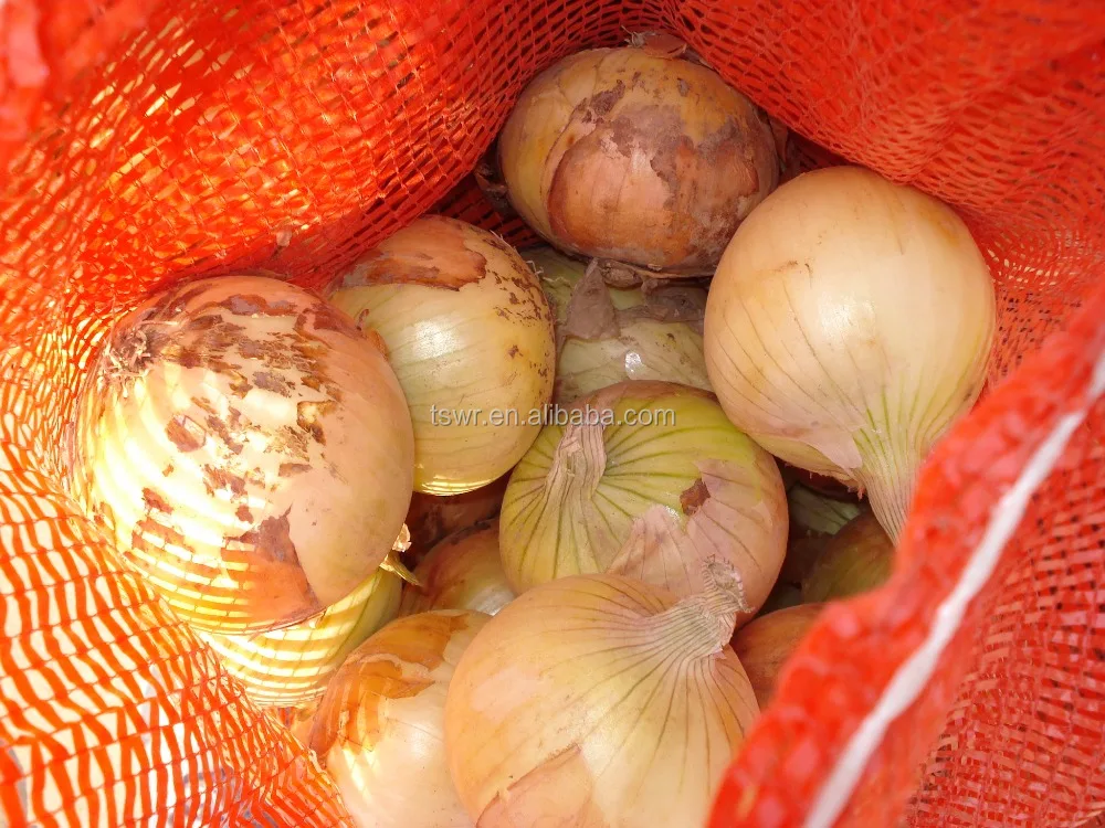 China yellow onion fresh onion red onion