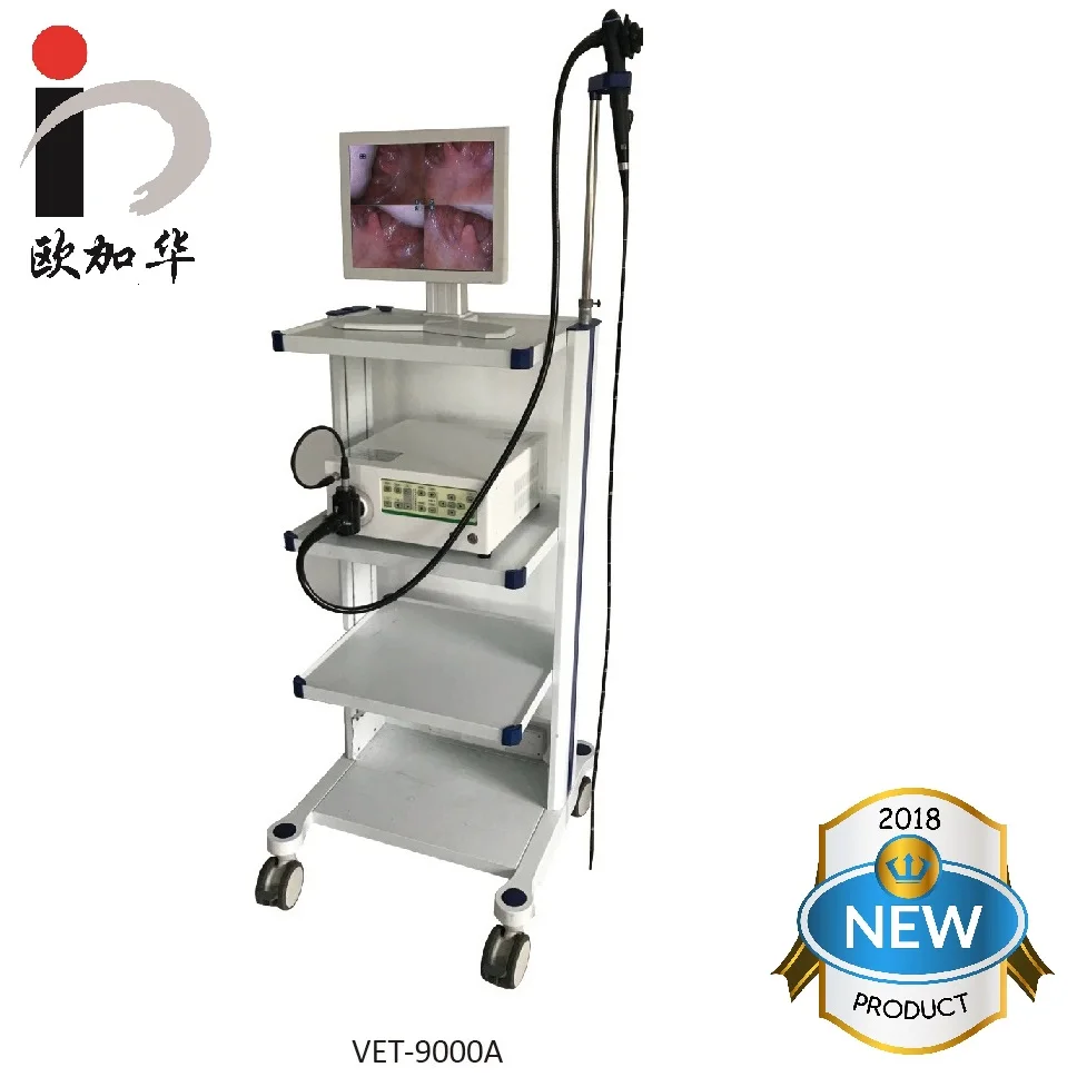 
2018 newest design 480000 pixels resolution Vet video flexible gastroscope for animal 