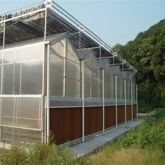 
China hot sale agricultural greenhouse multi span green house polycarbonate green house 