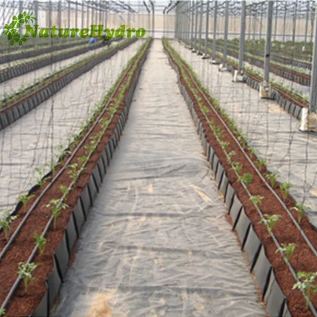 Hydroponics Greenhouse agricultural greenhouse Growing Trough PP rolls