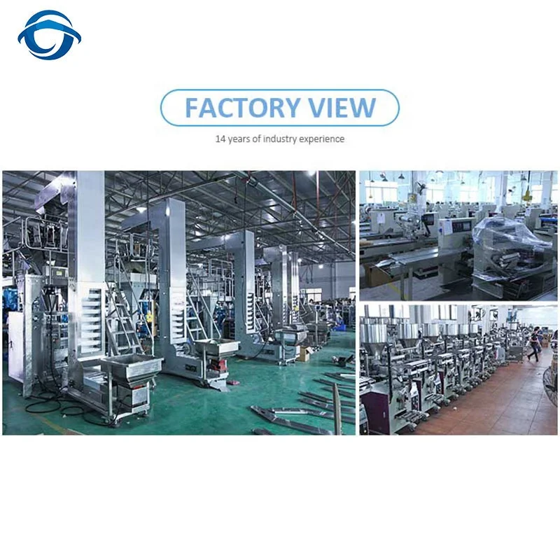 Tomato Ketchup Sauce sachet small  Packaging Machine