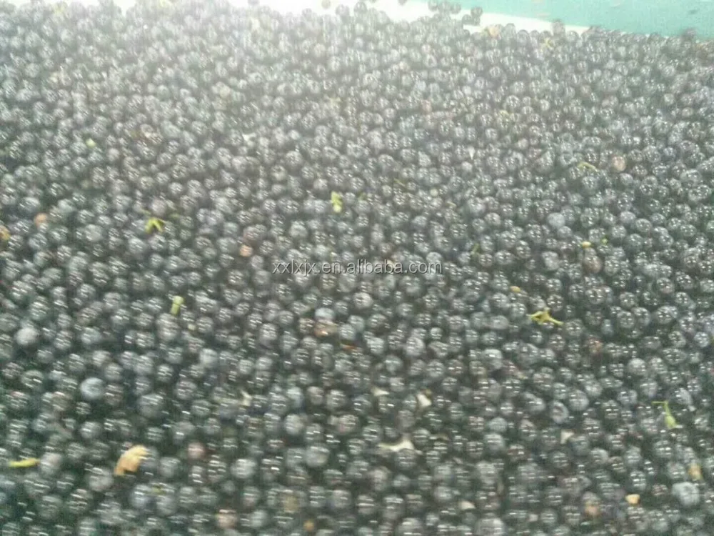 Профессиональный Производитель вина, оборудование для обработки виноградных косточек Remover