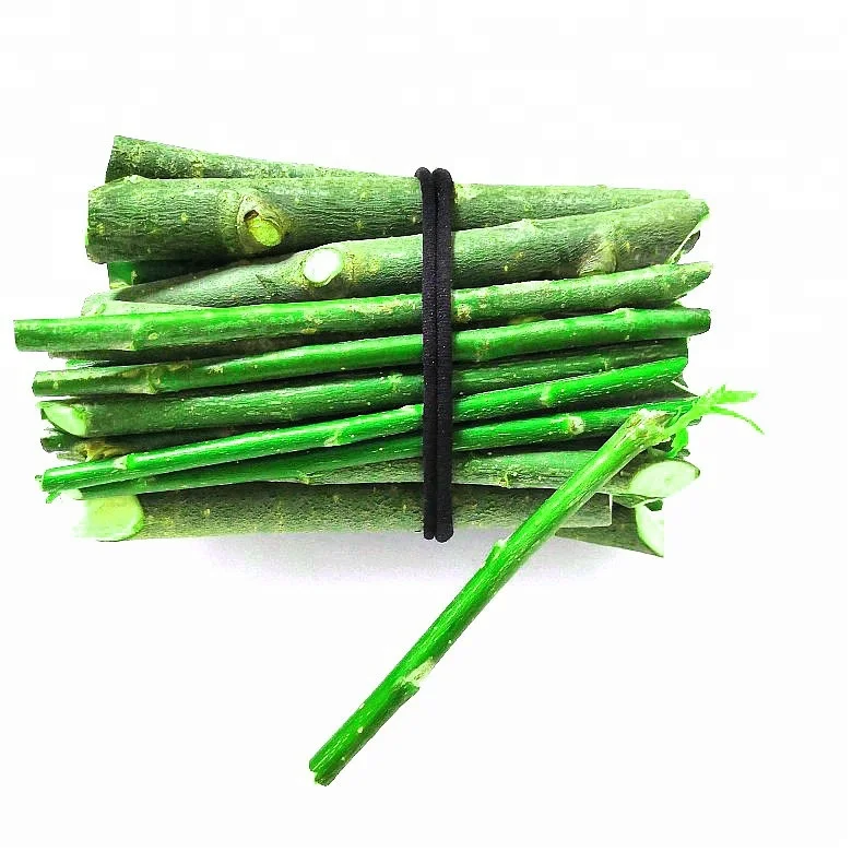 dry and water resistant willow stick plants for timber