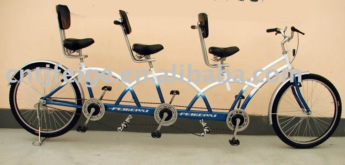 
Public interest using Tandem bike for three people(FP-TDM BIKE-17001) 