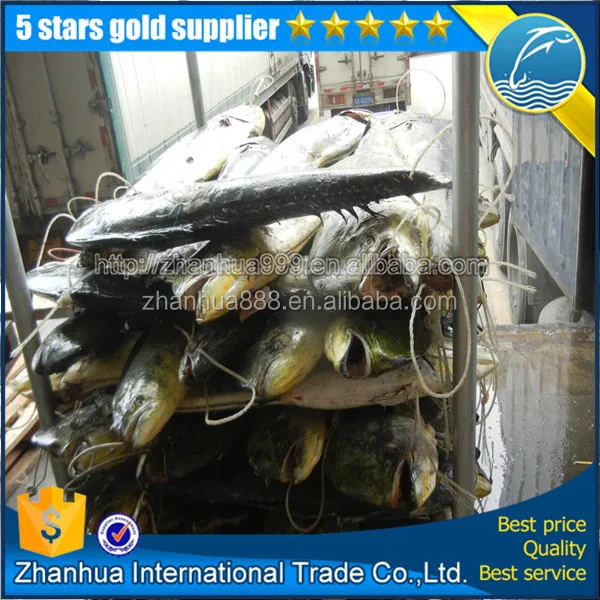 Махи Махи рыбы море замороженные ГОРЯЧЕЙ продажи Во Вьетнаме