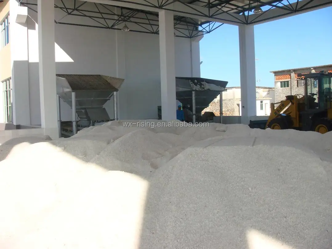 Crude sea/rock salt washing production processing machine