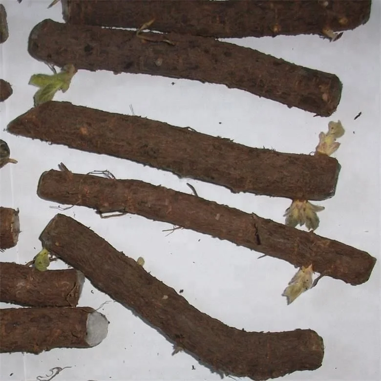 
Pao tong zhong gen cold resistant paulownia hybrid root cutting for planting 