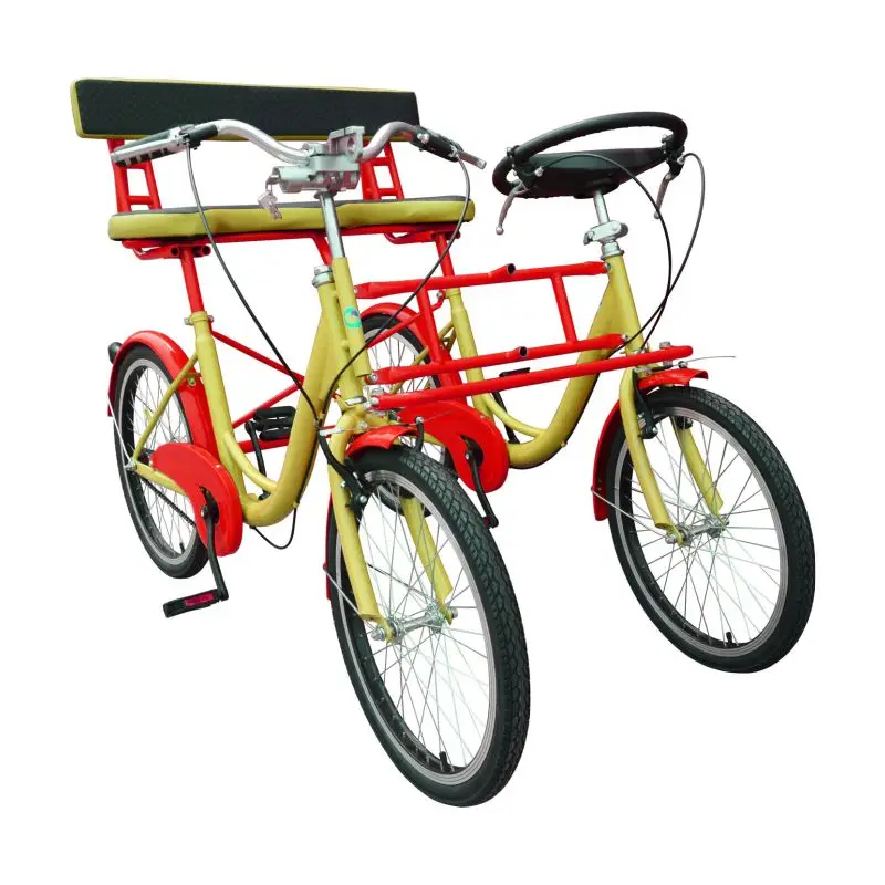 
Side-by-side/two/double seat bicycle/Travel/Public green bicycle double freewheel 