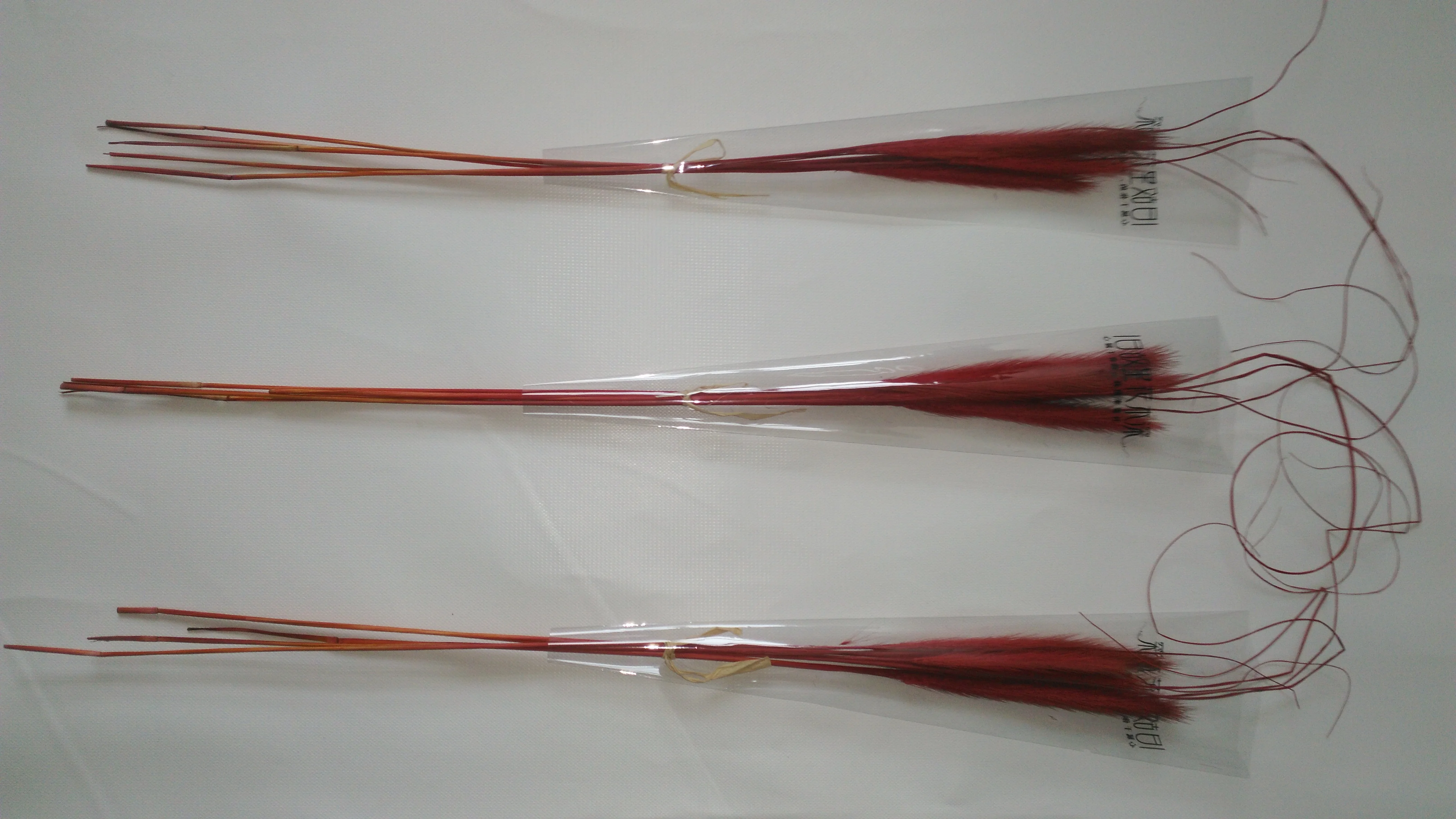 Dried natural Chinese pennisetum grass cat tail wolf tail feather grass, home decoration, floral arrangement