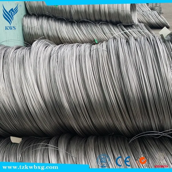 
1Cr18Ni9 Stainless Steel Spring Wire 