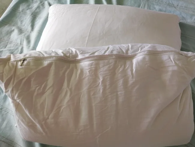 OEM 100% mulberry silk filling pillow 51*75cm 2kg long silk fiber filling silk pillow