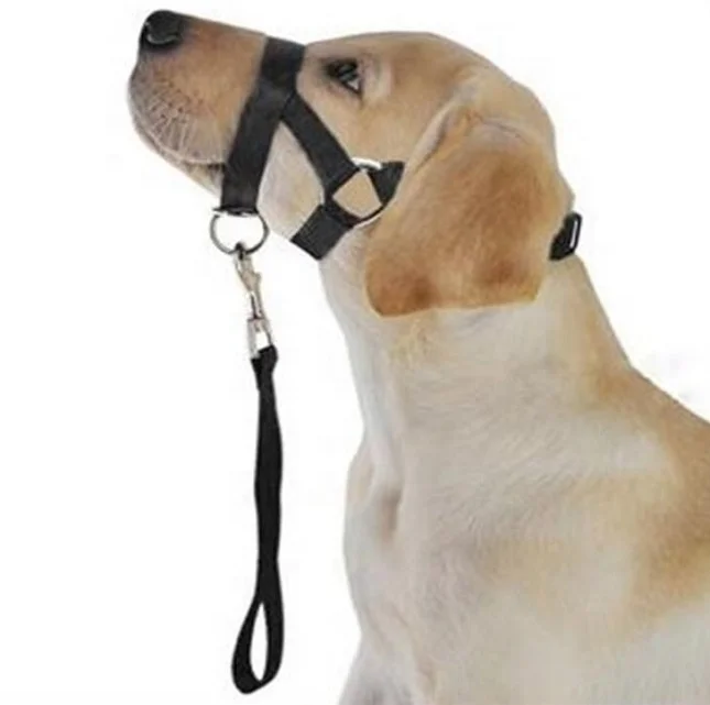 Pet Dog Nylon Adjustable Loop Bite Bark Control Easy Dog Mouth Muzzle