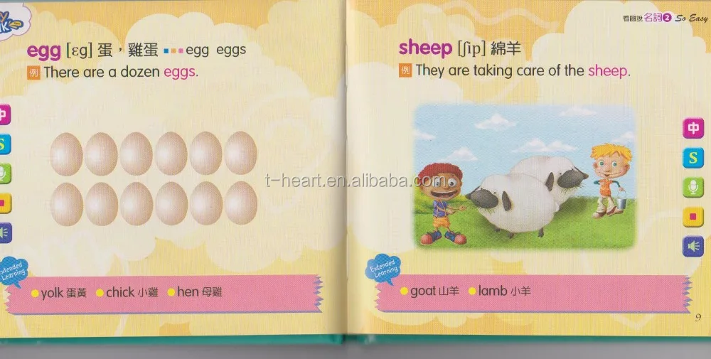 Word English children educational books