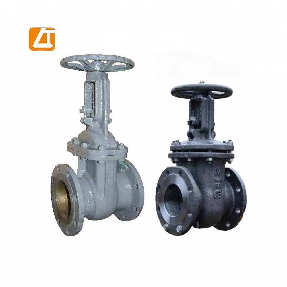 High pressure API 602 forged gate valve manufactures in China