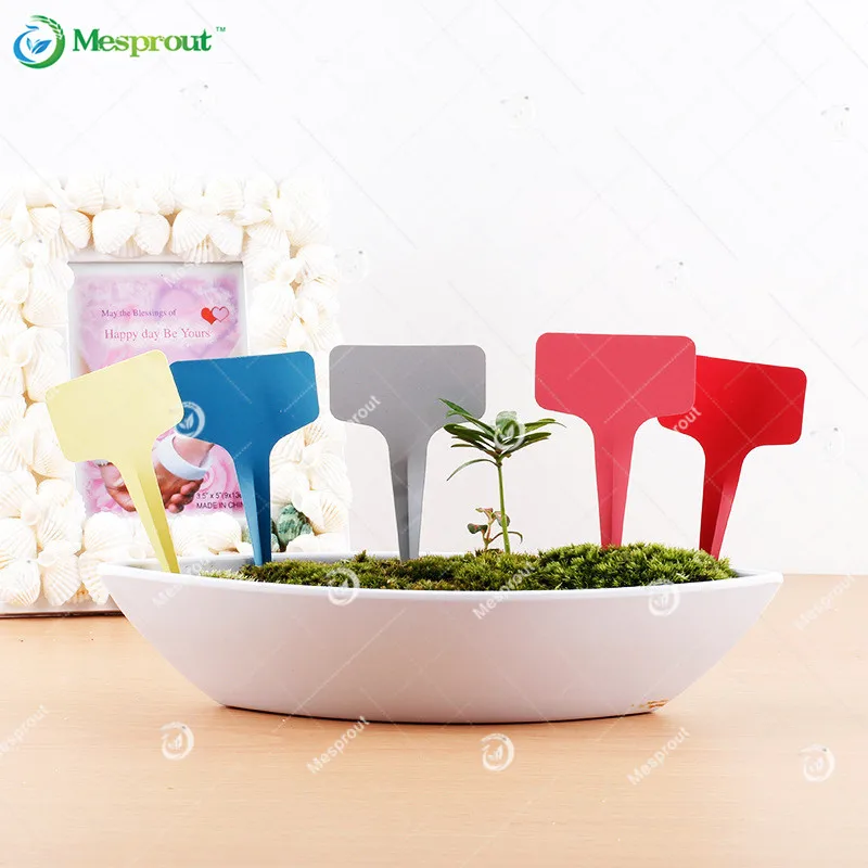 Tree Labels Promotion-Shop for Promotional Tree Labels on