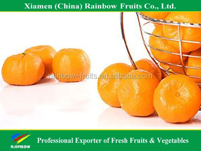 
yongchun ponkan mandarin for Russia & Bangladesh & Indonesia & Malaysia market 