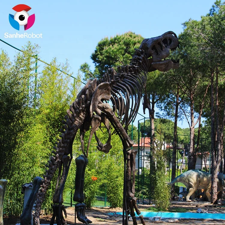 Life size Museum skeleton dinosaur for sale