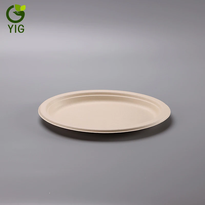 
10 Inches 100% Eco Friendly Disposable Sugarcane Oval Plates 