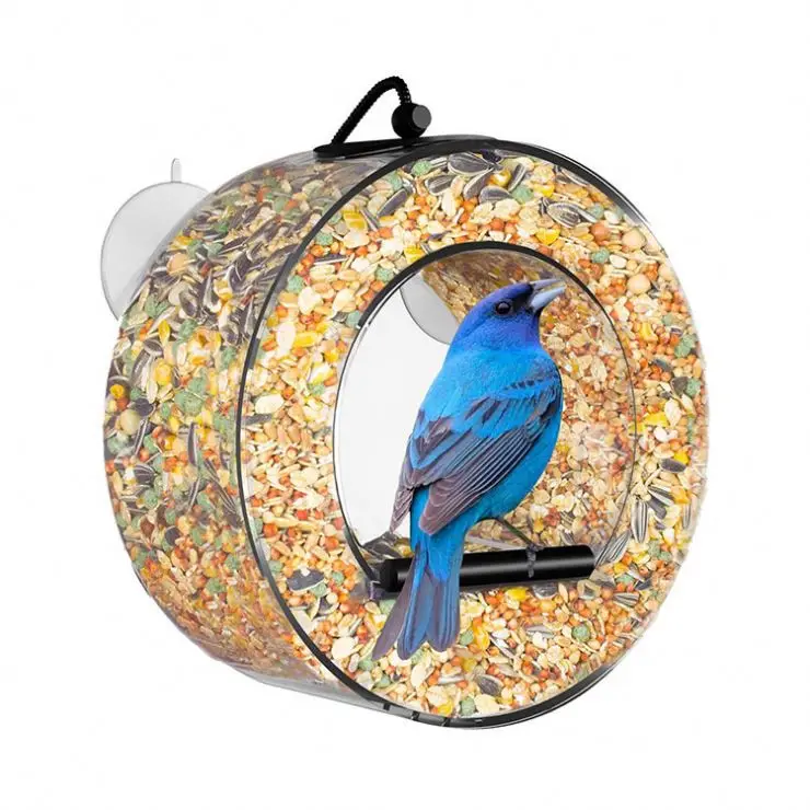 made in China Amazon hot selling creative hanging lazy outdoor gardening tools bird feeder