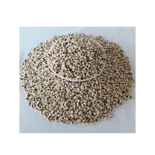  Black eye bean MC &