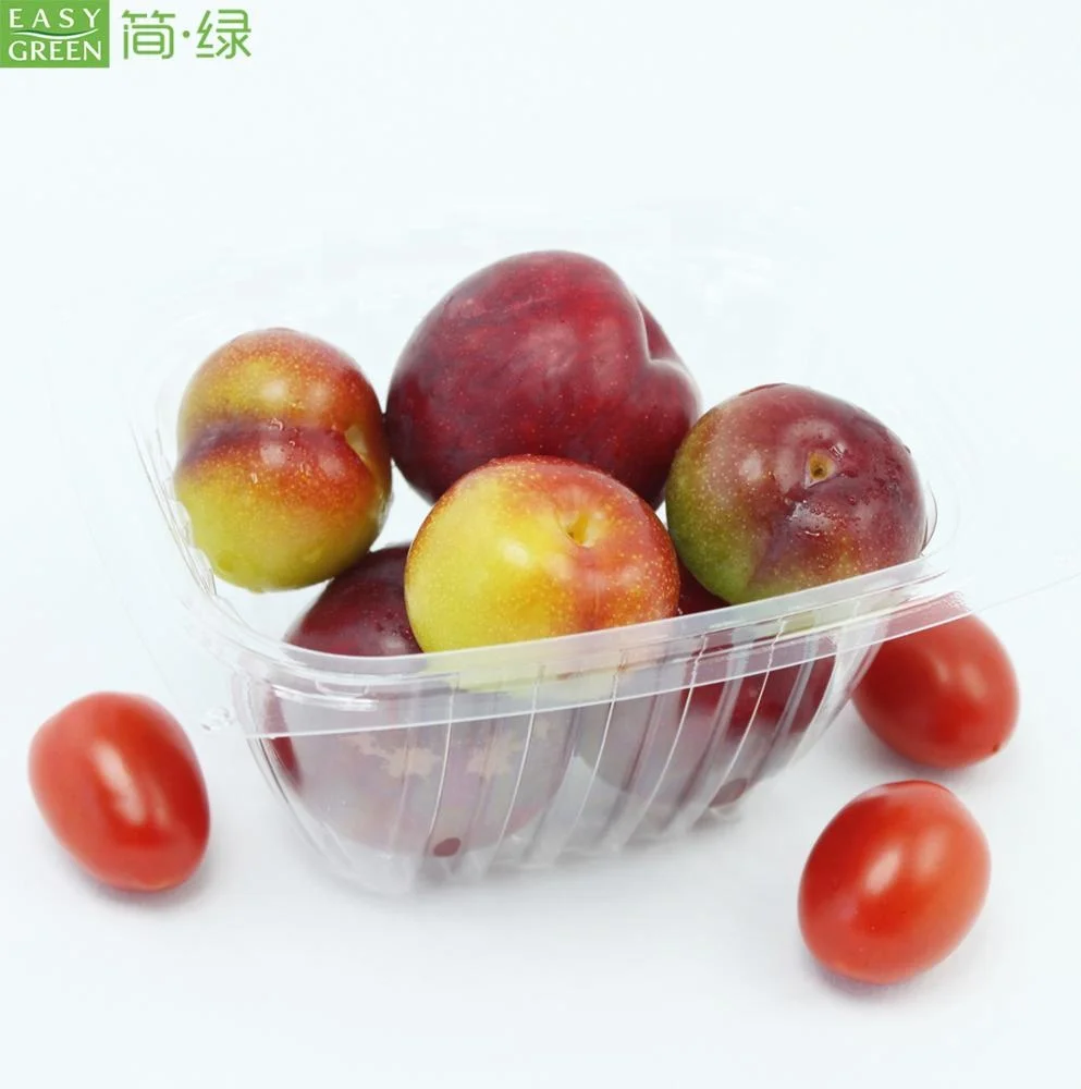 
Easy Green unique disposable plastic takeaway salad containers bowl with lid 