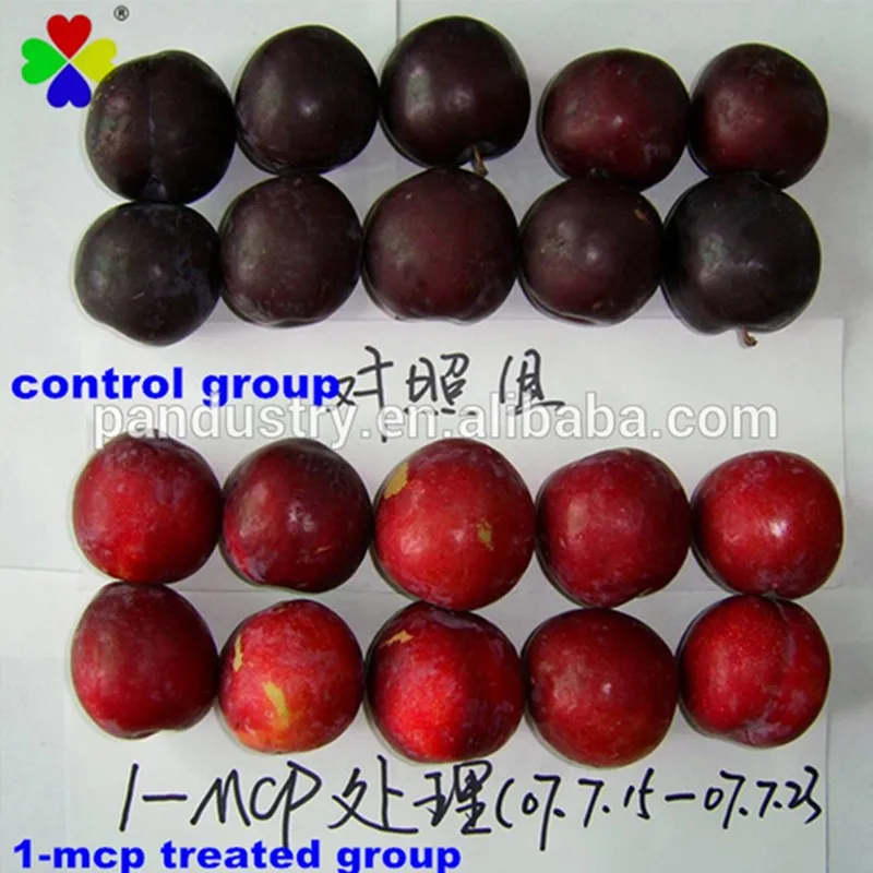 
1-MCP high water solubility, 1-MCP keeping fruits vegetables fresh, 1-methylcyclopropene 3.5%WP Machet 