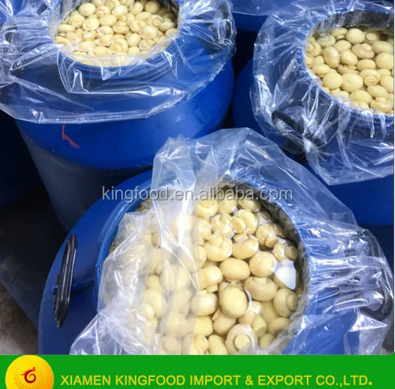 Соленый Гриб в бочке