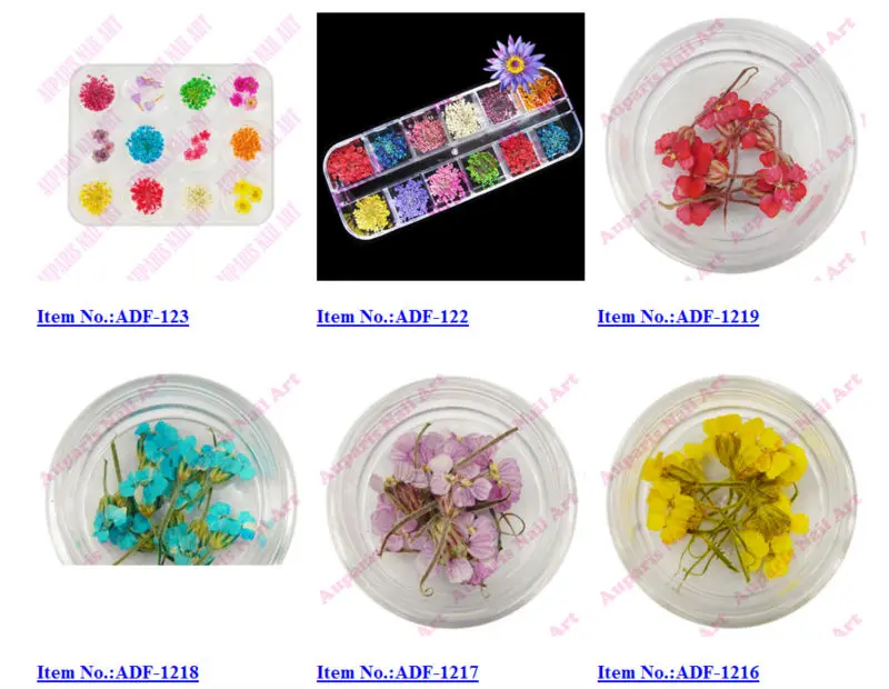 wholesale ADF8220# Dried Flowers Dry Acrylic Nail Art Decorations Design ADF-102