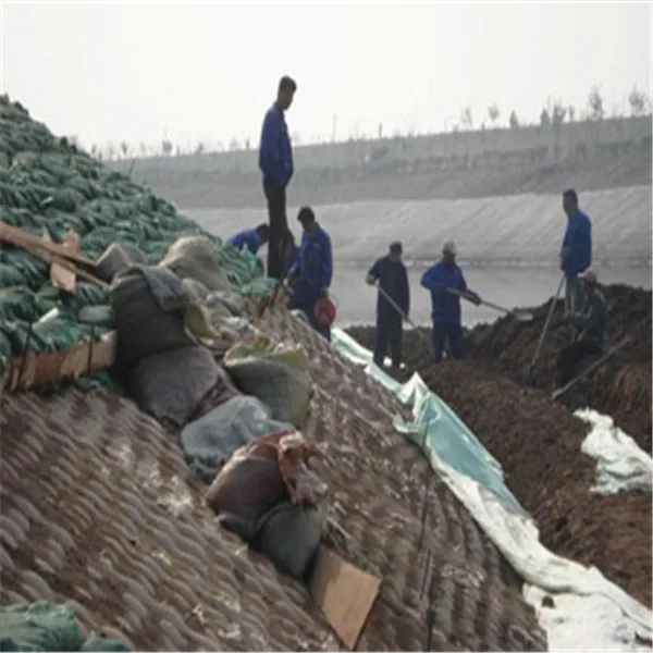 Полиэстер Гео Мешок для Озера Мола