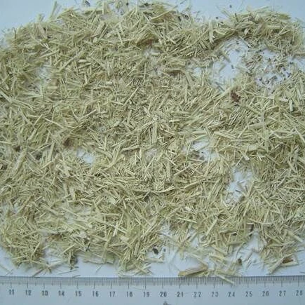 
Light yellow Acanthopanax Root for health tea Eleutherococcus root 