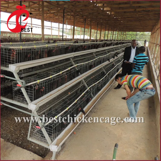 Brand new manufactures bird cages galvanization hot galvanized chicken cage for wholesales