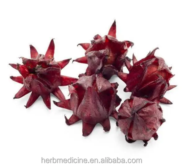 Planting base sale ROSELLE Dried red Hibiscus sabdariffa flowers for sale