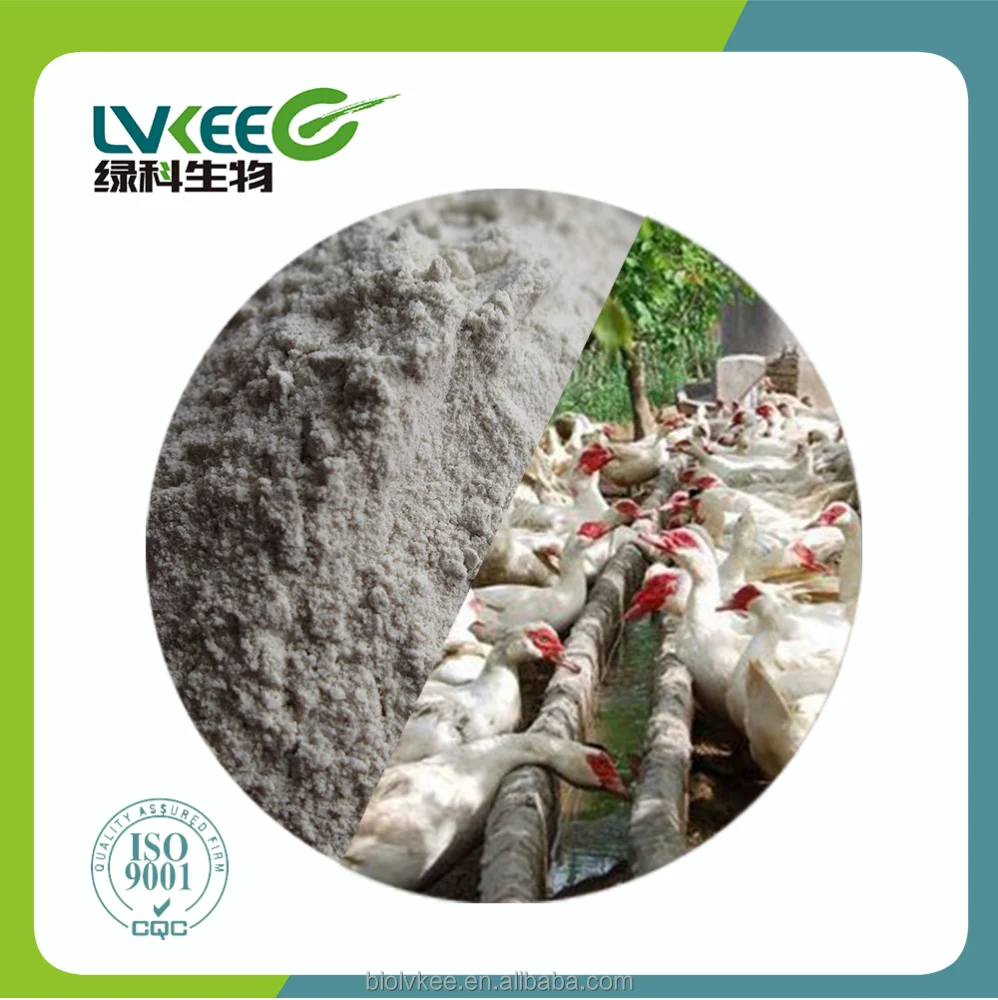 high quality Probiotics Bacillus Subtilis 20 billion cfu/g for fish farming/shrimp farming