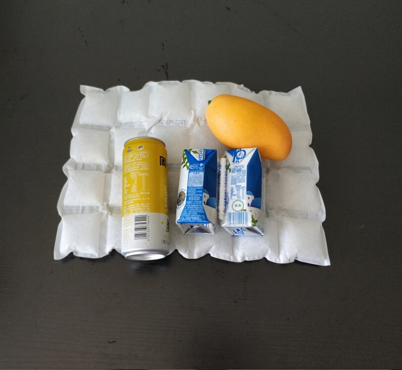 Food grade dry ice pack sheet techni ice packs for seafood chilled transport