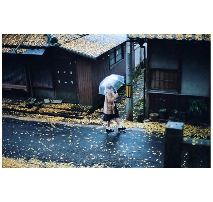 Wholesale cheap poe clear umbrella disposable transparent umbrella