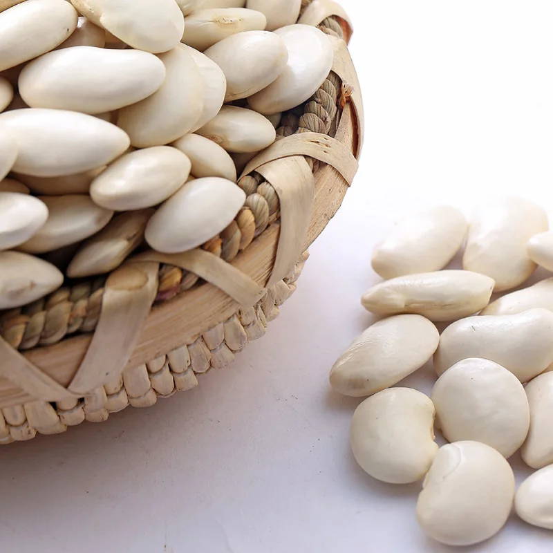 Types of white beans