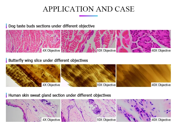 OPTO-EDU A59.4902-B High fps digital microscope color ccd camera Camera for Fluorescence microscope